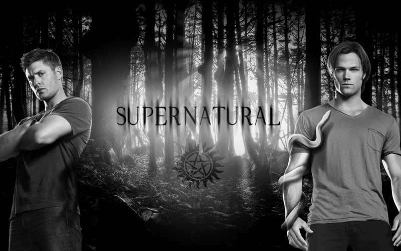 邪恶力量第八至十一季 Supernatural 全集迅雷下载