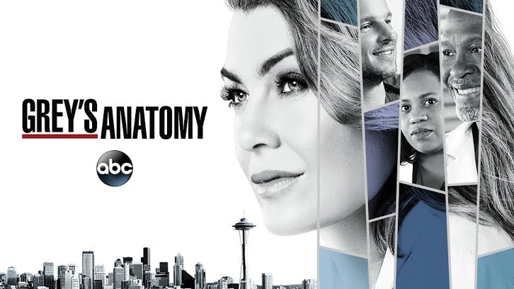 实习医生格蕾第十四季 Grey’s Anatomy 全集迅雷下载