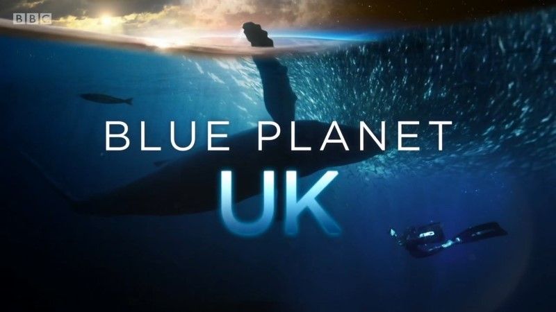 [英版]《蓝色星球第一季》Blue Planet UK 迅雷下载