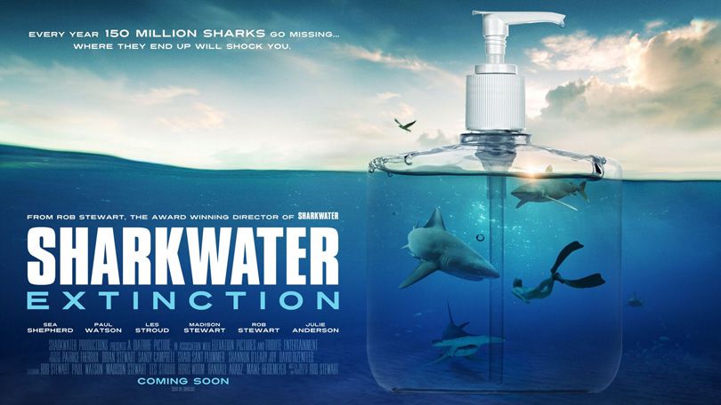 《鲨鱼海洋：灭绝》Sharkwater Extinction 迅雷下载