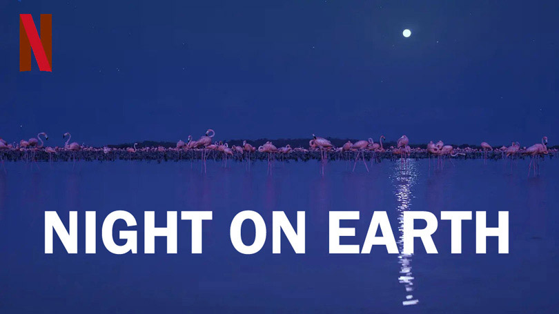 《地球的夜晚》Night on Earth 迅雷下载
