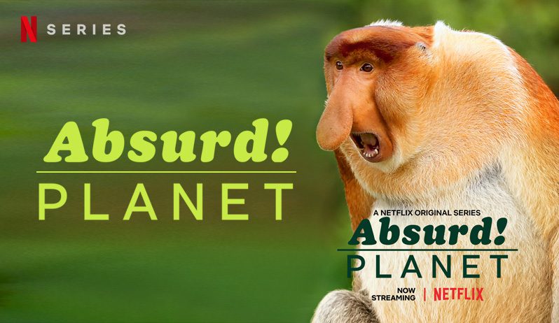 《怪诞星球第一季》Absurd Planet 迅雷下载