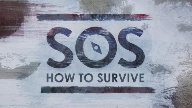 《SOS生存法则第一至二季》SOS How to Survive 迅雷下载