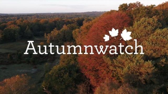 《秋日物语2020》BBC Autumnwatch 2020 迅雷下载