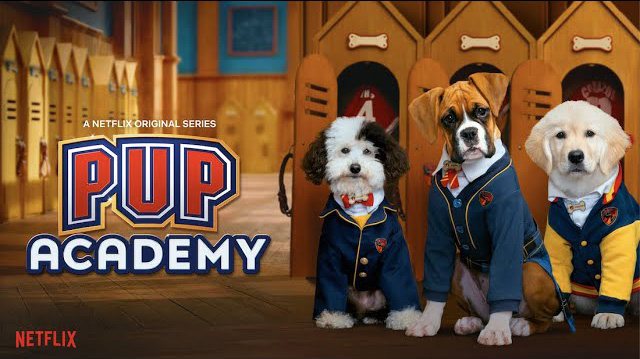 《狗狗学院第一至二季》Pup Academy 迅雷下载