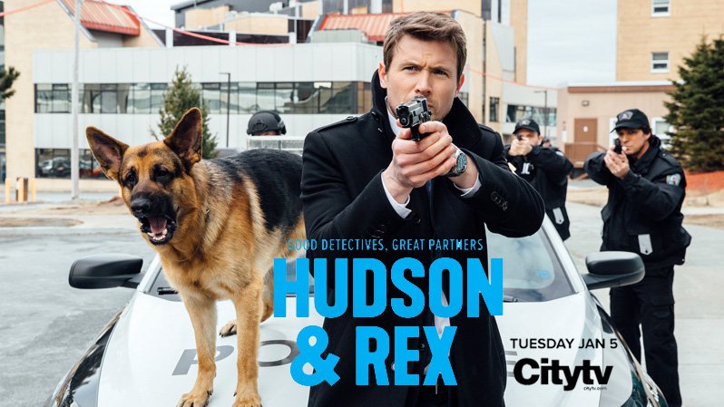《哈德森与雷克斯第二至三季》Hudson & Rex 迅雷下载