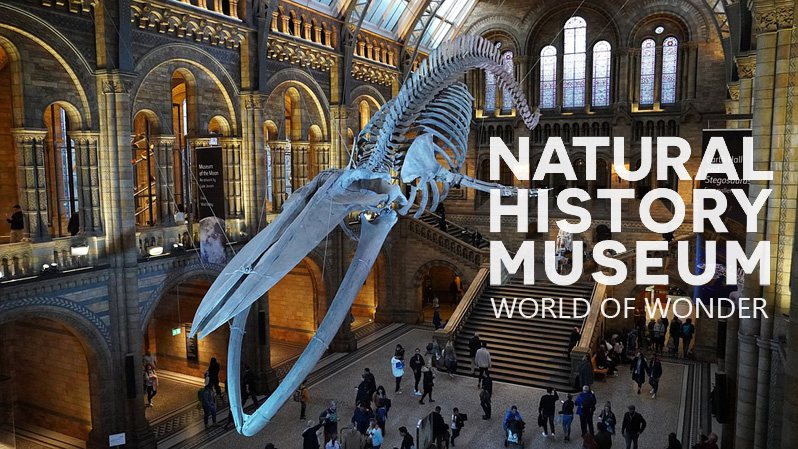 《英国自然历史博物馆：神奇世界第一季》Natural History Museum World of Wonder 迅雷下载