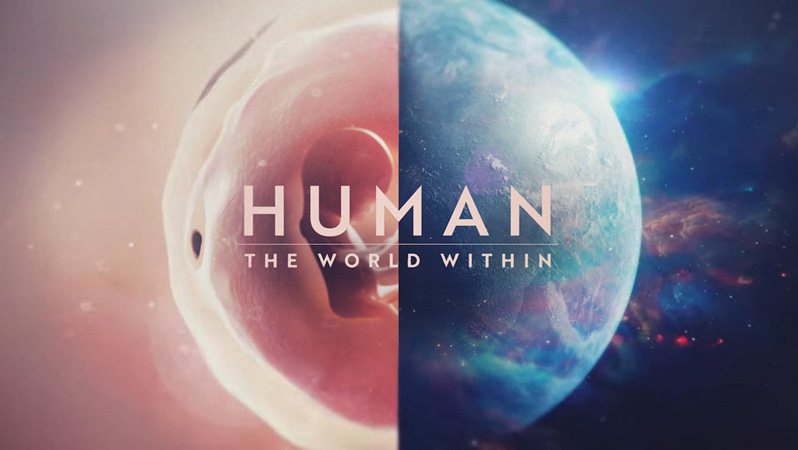 《人体大惊奇第一季》Human: The World Within 迅雷下载