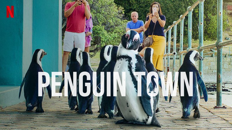 《企鹅小镇第一季》Penguin Town 迅雷下载