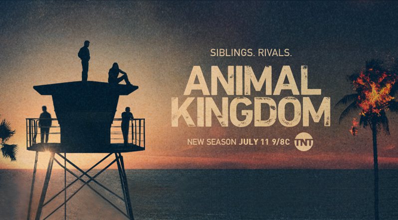 《野兽家族第五季》Animal Kingdom 迅雷下载