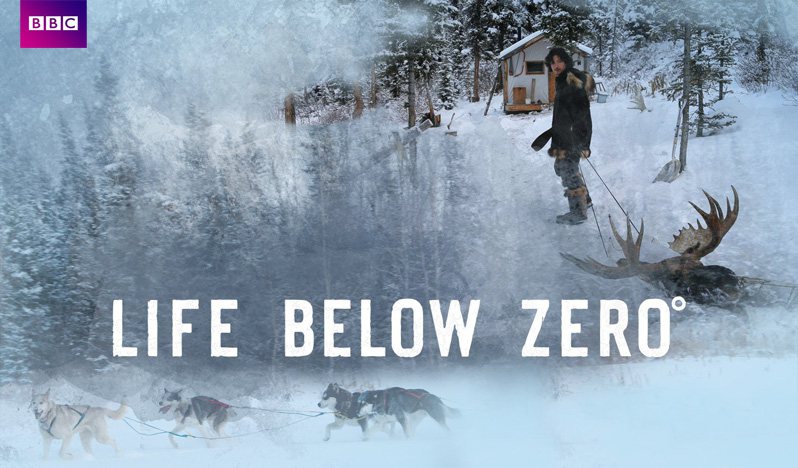 《零度以下的生活第十五季》Life Below Zero 迅雷下载
