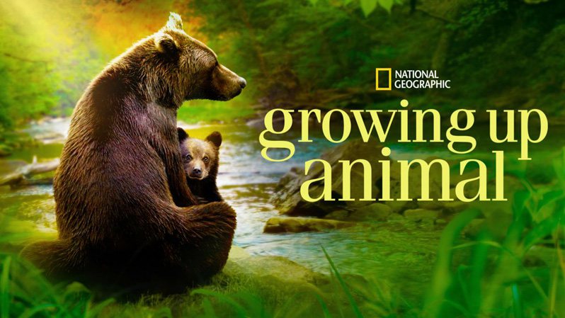 《动物成长第一季》Growing Up Animal 迅雷下载
