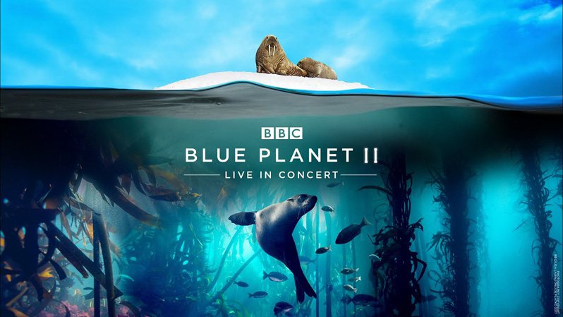 《蓝色星球2》Blue Planet II 迅雷下载