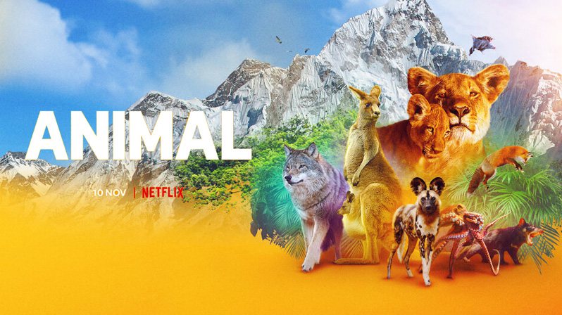 《动物本色第一至二季》Animal 迅雷下载
