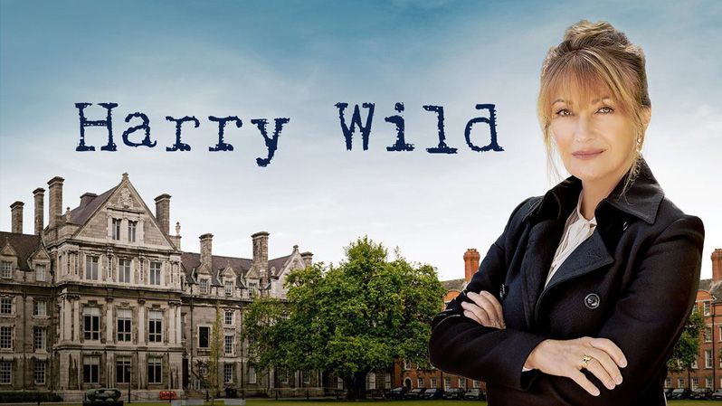 《哈里·怀尔德第一季》Harry Wild 迅雷下载