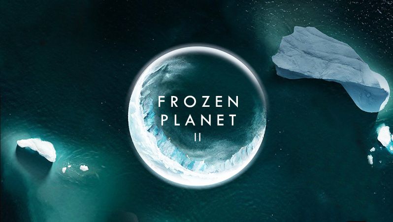 《冰冻星球第一至二季》Frozen Planet II 迅雷下载