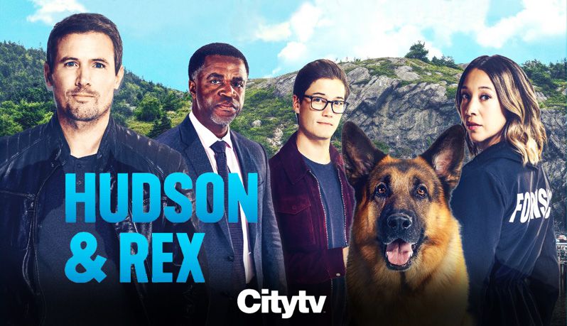 《哈德森与雷克斯第五季》Hudson & Rex 迅雷下载