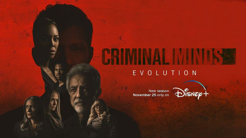 《犯罪心理第十六季》Criminal Minds 迅雷下载