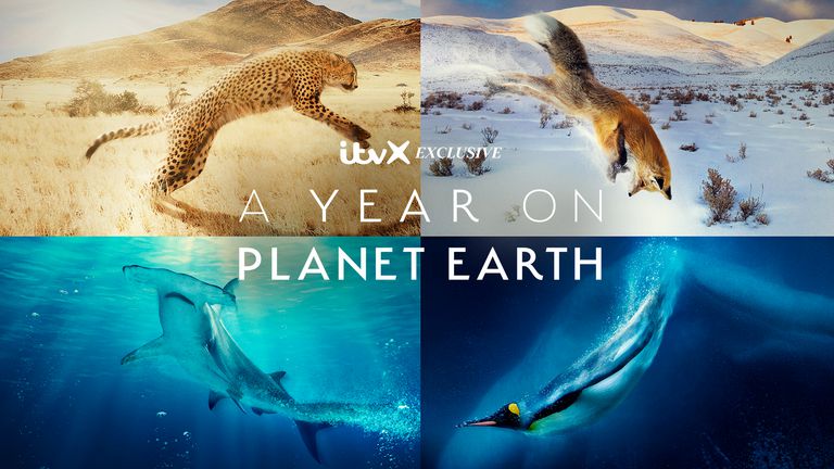 《地球上的一年第一季》A Year on Planet Earth 迅雷下载
