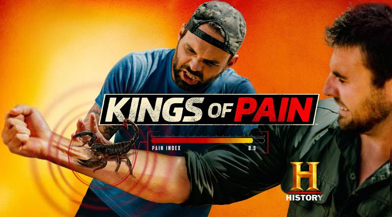 《疼痛之王第一至二季》Kings of Pain 迅雷下载
