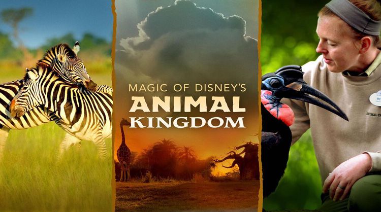 《迪士尼动物王国第一至二季》Magic of Disney’s Animal Kingdom 迅雷下载