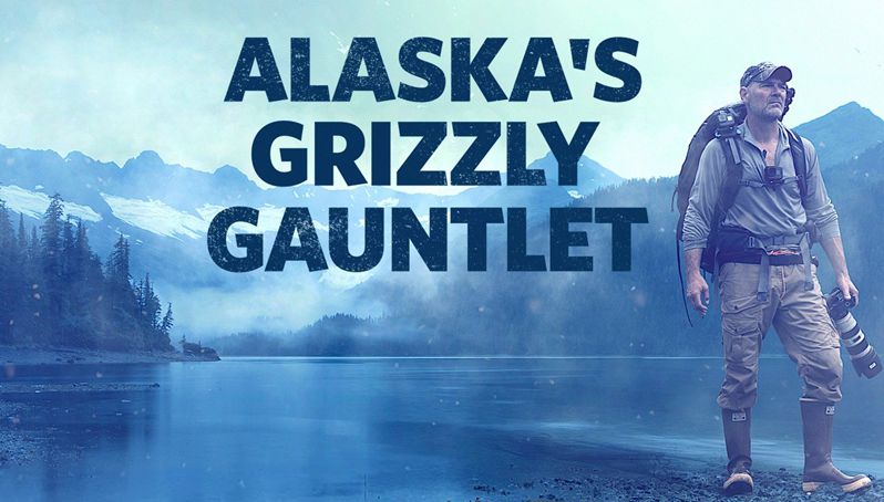 《阿拉斯加生存战第一季》Alaska’s Grizzly Gauntlet 迅雷下载