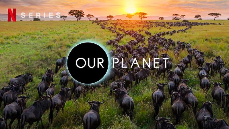 《我们的星球第二季》Our Planet 迅雷下载