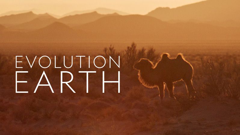 《进化的地球第一季》Evolution Earth 迅雷下载