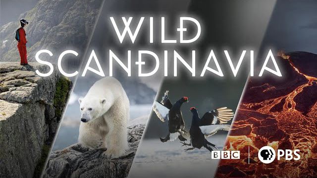 《野性斯堪的纳维亚第一季》Wild Scandinavia 迅雷下载