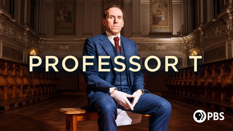 《T教授第三季》Professor T 迅雷下载